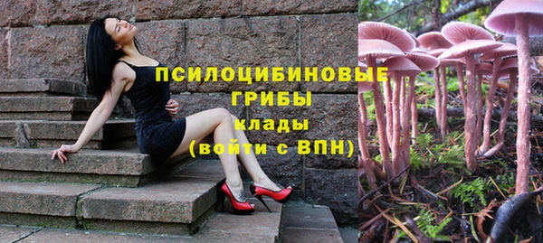 каннабис Покачи